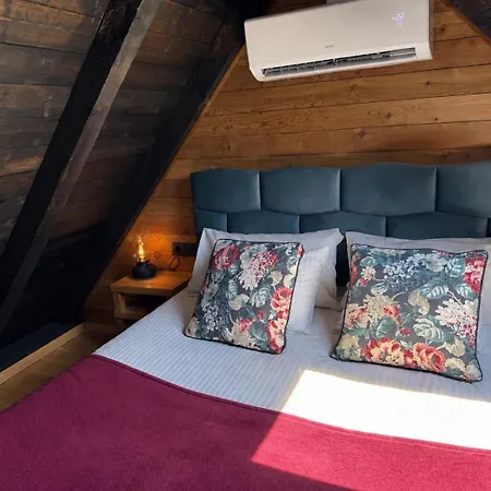 Vila Zoe Luxury House Gomirje